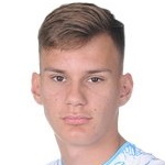 A Babić