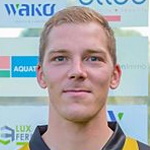 A Ferino