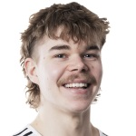 A Heinonen