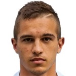 A Pavić