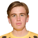 A Tjærandsen-Skau