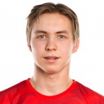A Vidjeskog