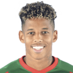 Andre Vidigal