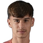 B Mircetic