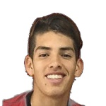 Blas Palavecino