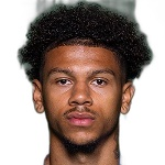 Bryan Fiabema