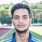 D Cesarini