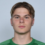 D Fjeldsted