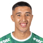 D Gallardo