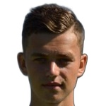 D Horák