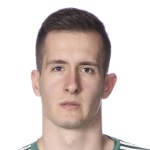 D Miškić