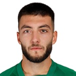D Mitkov