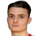 D Salcinovic