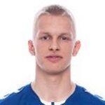 D Vilkas