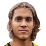 E Heinonen