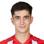E Prutsev