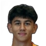 Ege Araç