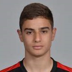 F Antonucci