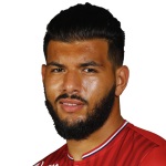 F Bahlouli