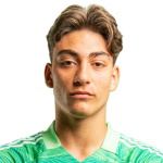 G Baytekin
