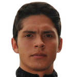 J Briceño