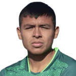 J Castillo