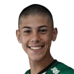 J Vargas