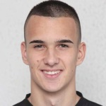 L Cvetićanin