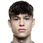 L Erlein