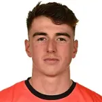 L Healy