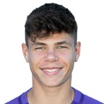 L Pazourek