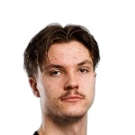 L Vayrynen