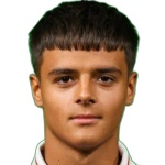 L Zaric