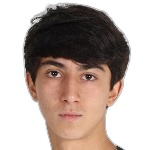 M Ayvazyan