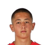 M Boychev