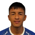 M Gonzalez
