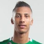 M Hadhoudi