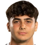M Hekimoğlu