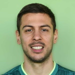 M Ilić