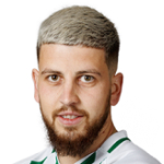 M Milićković