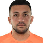 M Mirzoyan