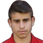 M Mitkov