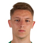 M Pavlovič
