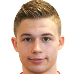 M Przybylski