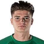 M Šarkić