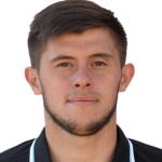 M Shvagirev