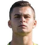 M Velkovski