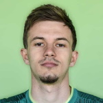 N Bosancic
