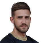 N Braunović