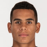 N De Queiroz
